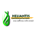 heliantis.png