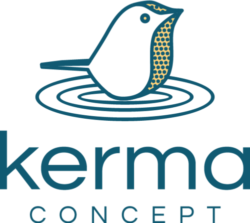 kerma_concept.png
